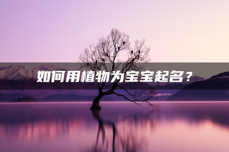 如何用植物为宝宝起名？