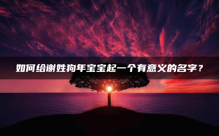 如何给谢姓狗年宝宝起一个有意义的名字？