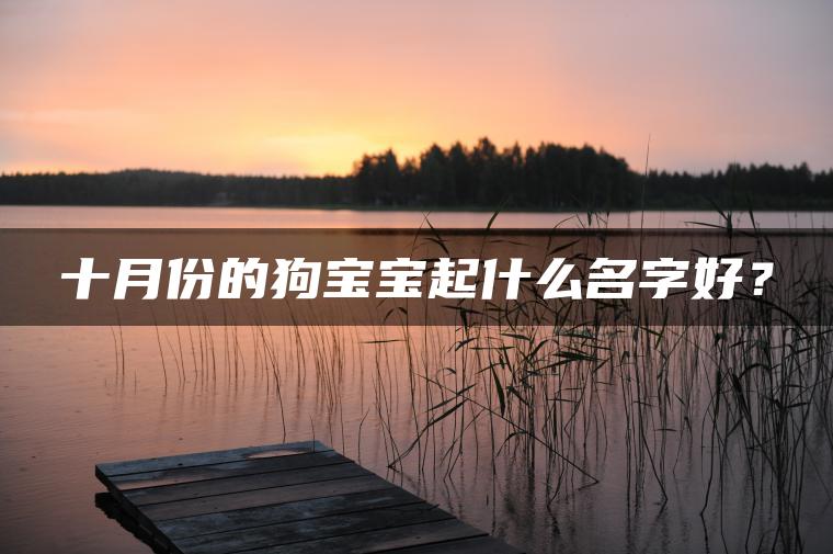 十月份的狗宝宝起什么名字好？