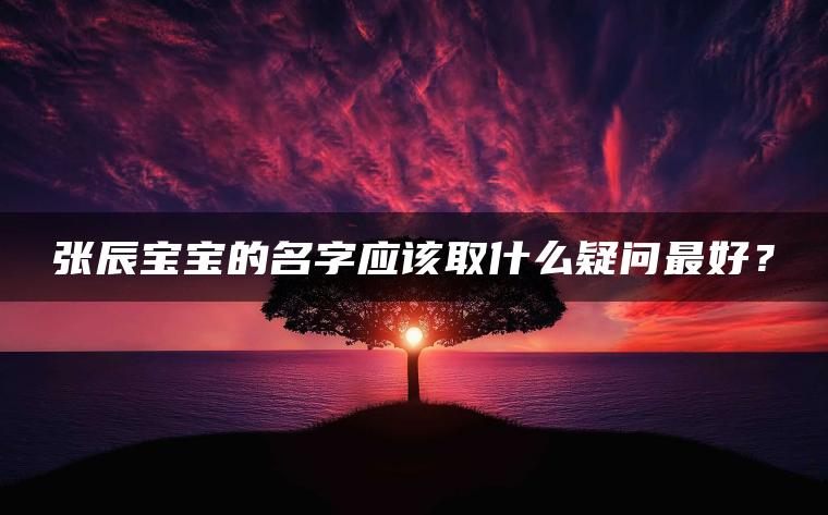 张辰宝宝的名字应该取什么疑问最好？