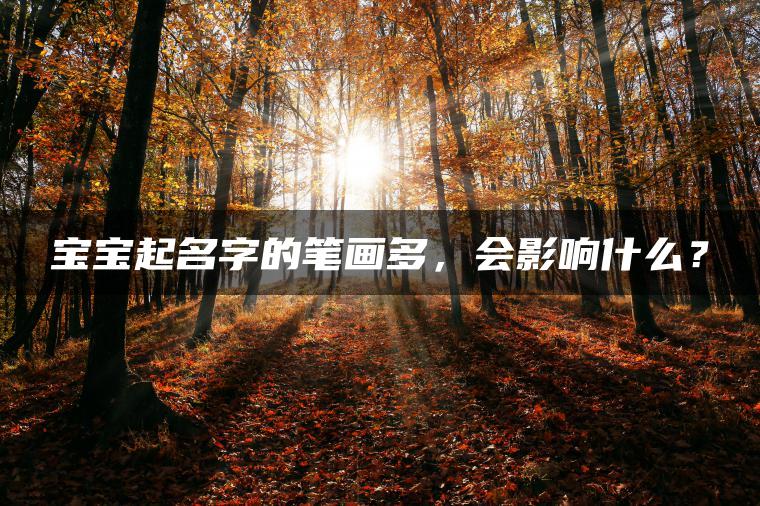 宝宝起名字的笔画多，会影响什么？