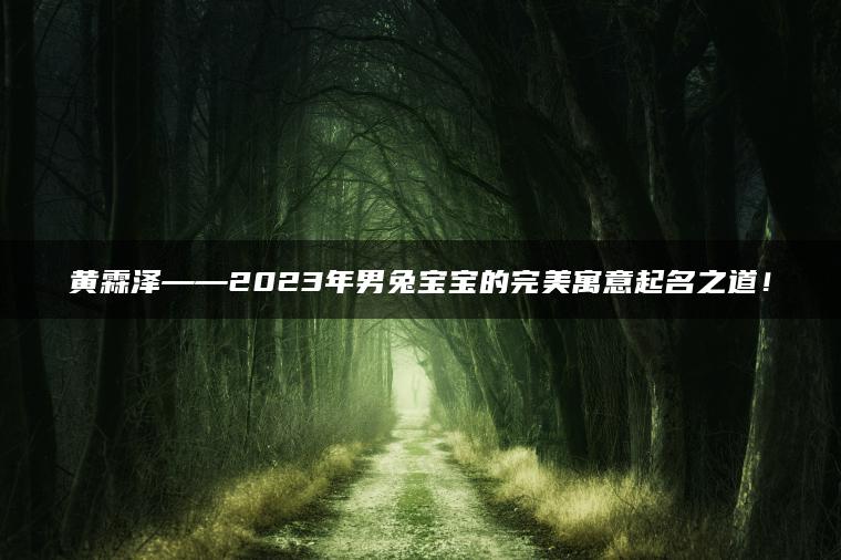 黄霖泽——2023年男兔宝宝的完美寓意起名之道！