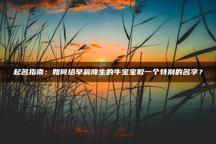 起名指南：如何给早晨降生的牛宝宝取一个特别的名字？