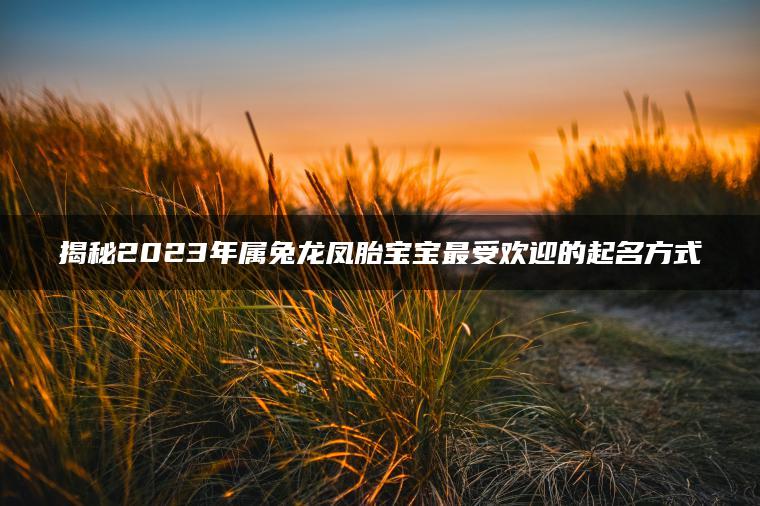 揭秘2023年属兔龙凤胎宝宝最受欢迎的起名方式