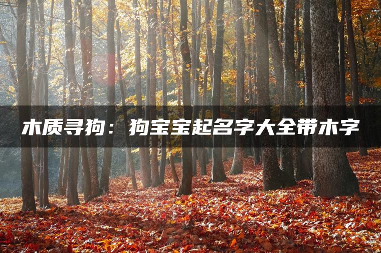 木质寻狗：狗宝宝起名字大全带木字