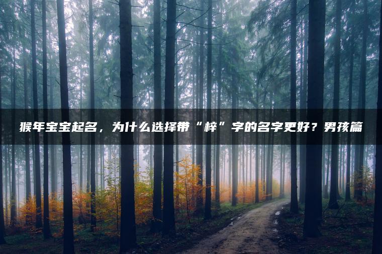 猴年宝宝起名，为什么选择带“梓”字的名字更好？男孩篇