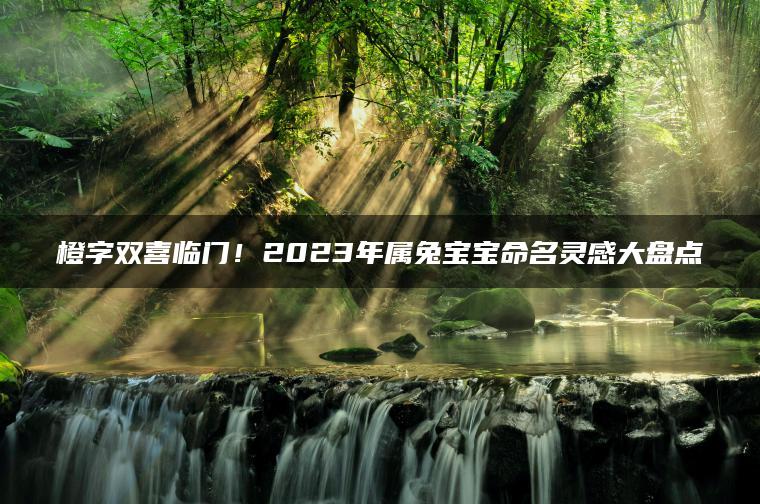 橙字双喜临门！2023年属兔宝宝命名灵感大盘点