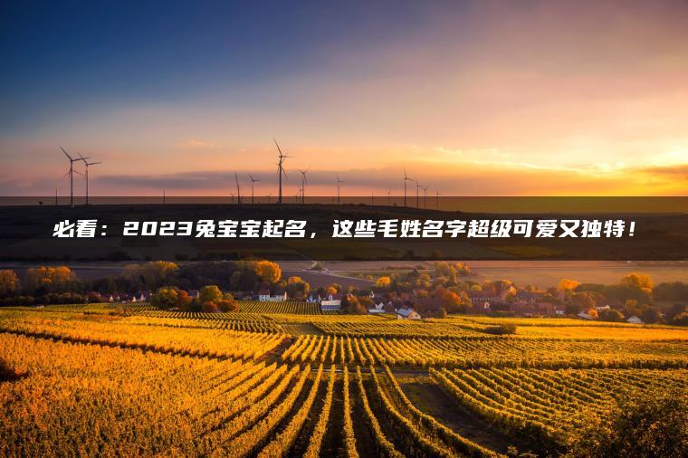 必看：2023兔宝宝起名，这些毛姓名字超级可爱又独特！