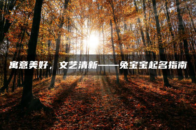 寓意美好，文艺清新——兔宝宝起名指南