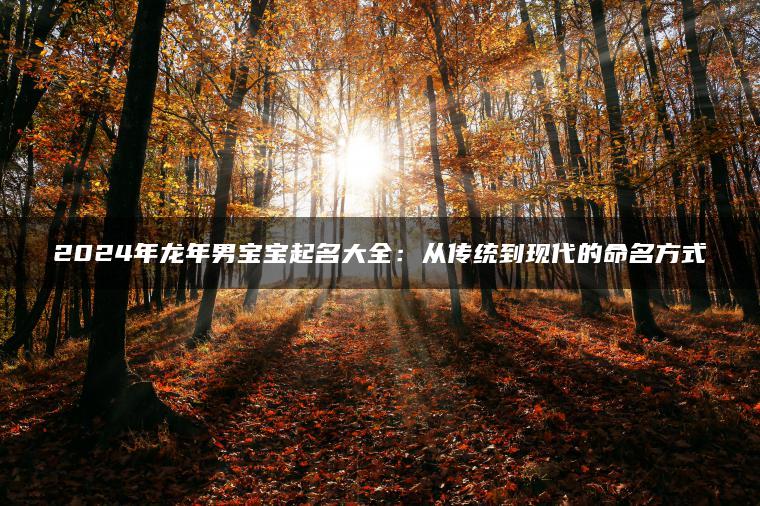 2024年龙年男宝宝起名大全：从传统到现代的命名方式