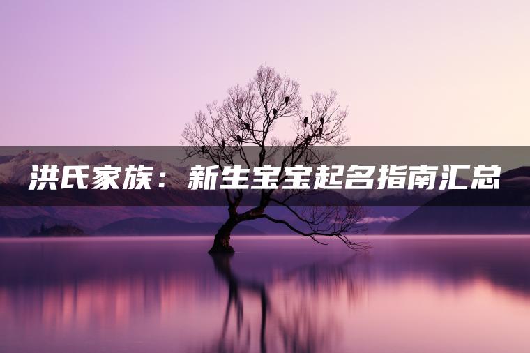 洪氏家族：新生宝宝起名指南汇总