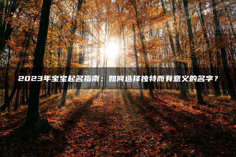 2023年宝宝起名指南：如何选择独特而有意义的名字？