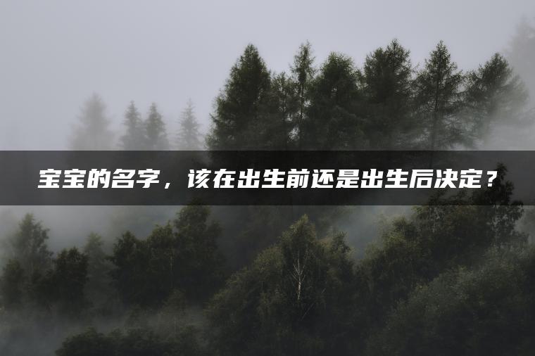 宝宝的名字，该在出生前还是出生后决定？