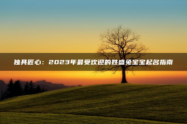 独具匠心：2023年最受欢迎的姓盛兔宝宝起名指南