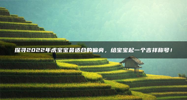 探寻2022年虎宝宝最适合的偏旁，给宝宝起一个吉祥称号！