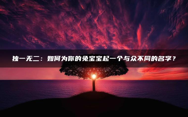 独一无二：如何为你的兔宝宝起一个与众不同的名字？