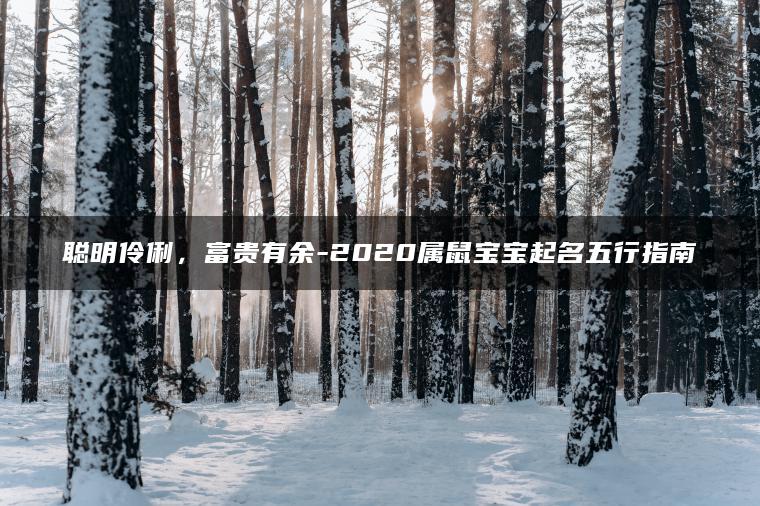 聪明伶俐，富贵有余-2020属鼠宝宝起名五行指南