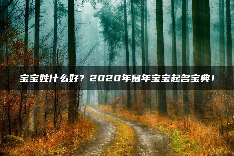 宝宝姓什么好？2020年鼠年宝宝起名宝典！