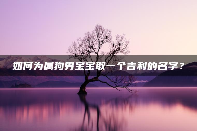 如何为属狗男宝宝取一个吉利的名字？