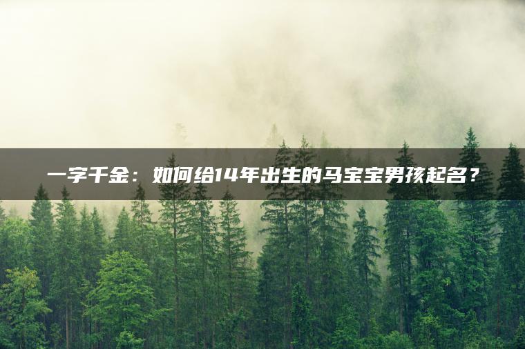 一字千金：如何给14年出生的马宝宝男孩起名？