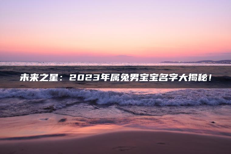 未来之星：2023年属兔男宝宝名字大揭秘！