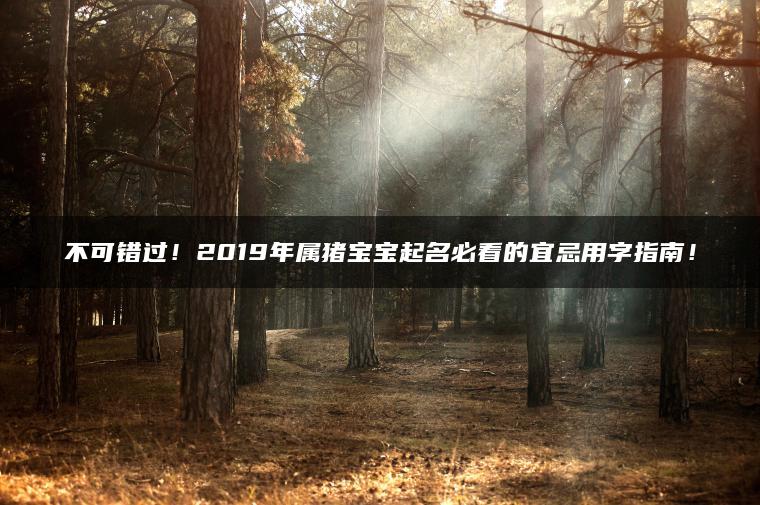 不可错过！2019年属猪宝宝起名必看的宜忌用字指南！