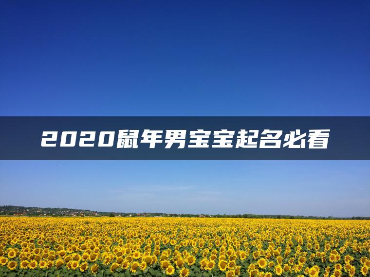 2020鼠年男宝宝起名必看