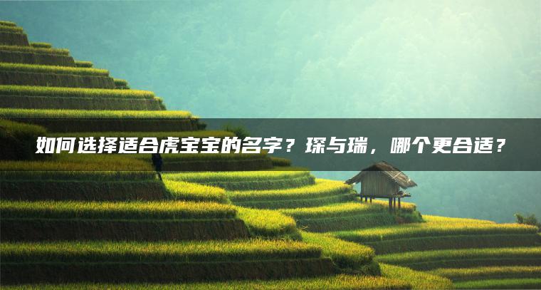 如何选择适合虎宝宝的名字？琛与瑞，哪个更合适？