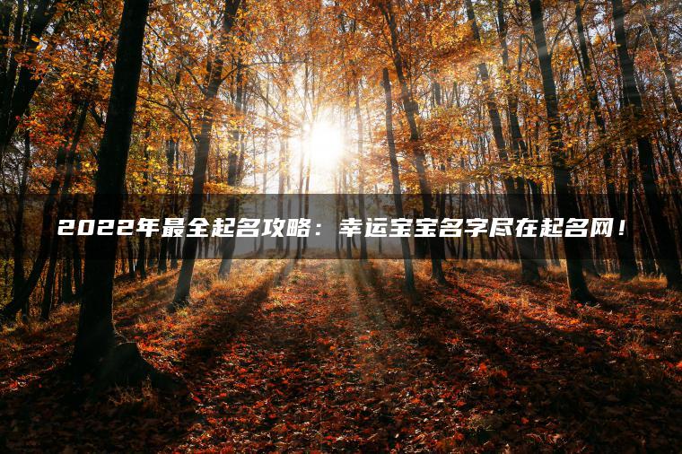 2022年最全起名攻略：幸运宝宝名字尽在起名网！