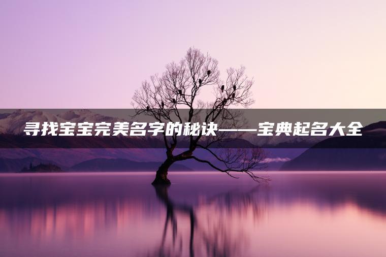 寻找宝宝完美名字的秘诀——宝典起名大全