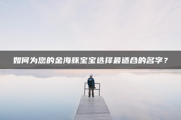 如何为您的金海豚宝宝选择最适合的名字？