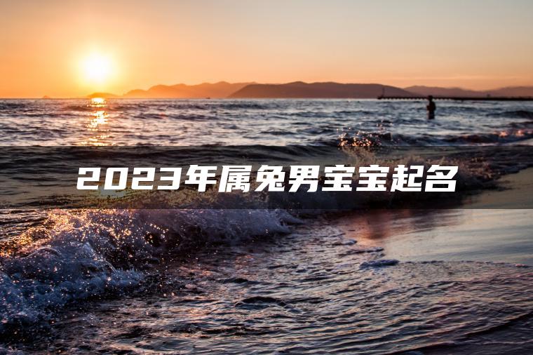 2023年属兔男宝宝起名