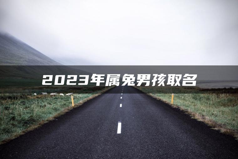 2023年属兔男孩取名