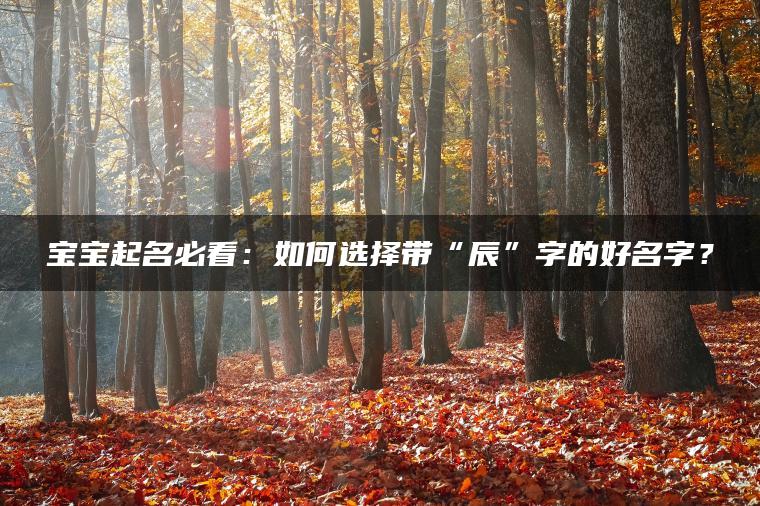 宝宝起名必看：如何选择带“辰”字的好名字？