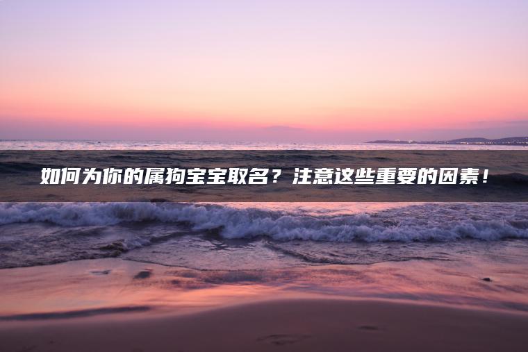 如何为你的属狗宝宝取名？注意这些重要的因素！