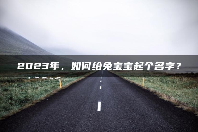 2023年，如何给兔宝宝起个名字？