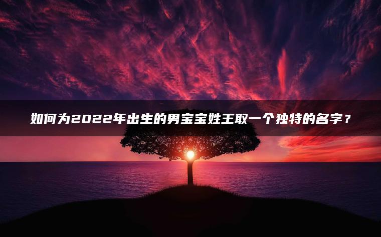 如何为2022年出生的男宝宝姓王取一个独特的名字？