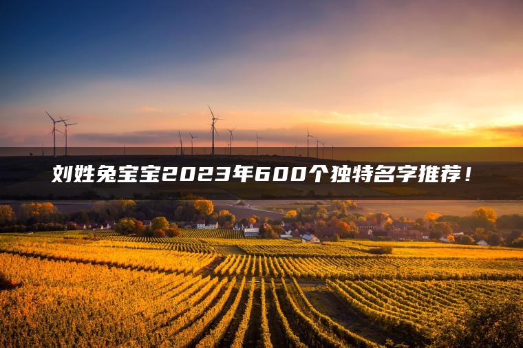 刘姓兔宝宝2023年600个独特名字推荐！