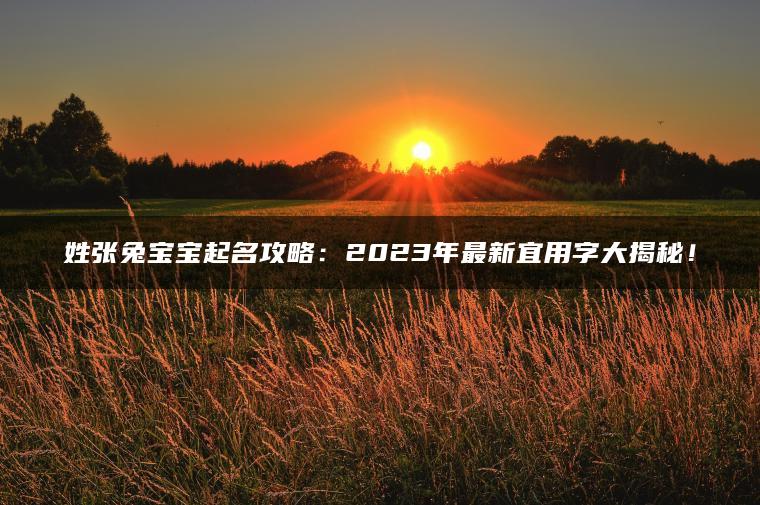 姓张兔宝宝起名攻略：2023年最新宜用字大揭秘！