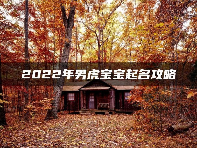 2022年男虎宝宝起名攻略