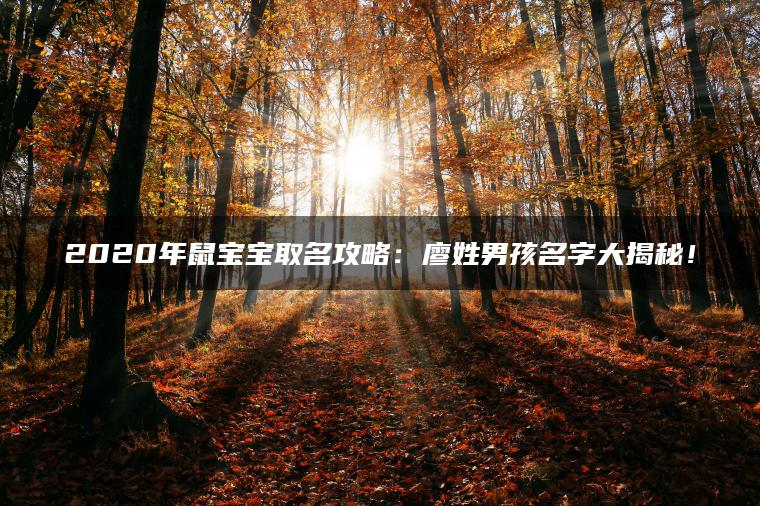 2020年鼠宝宝取名攻略：廖姓男孩名字大揭秘！