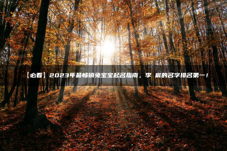 【必看】2023年最畅销兔宝宝起名指南，李珺宸的名字排名第一！