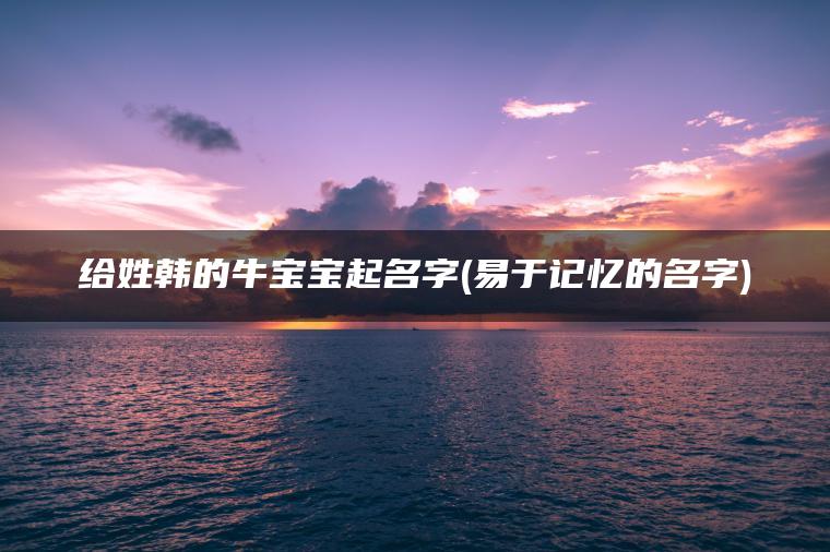 给姓韩的牛宝宝起名字(易于记忆的名字)