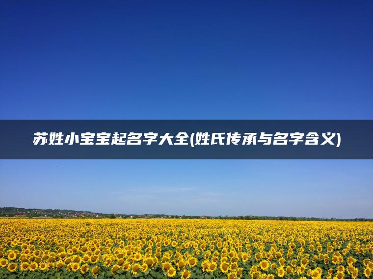 苏姓小宝宝起名字大全(姓氏传承与名字含义)