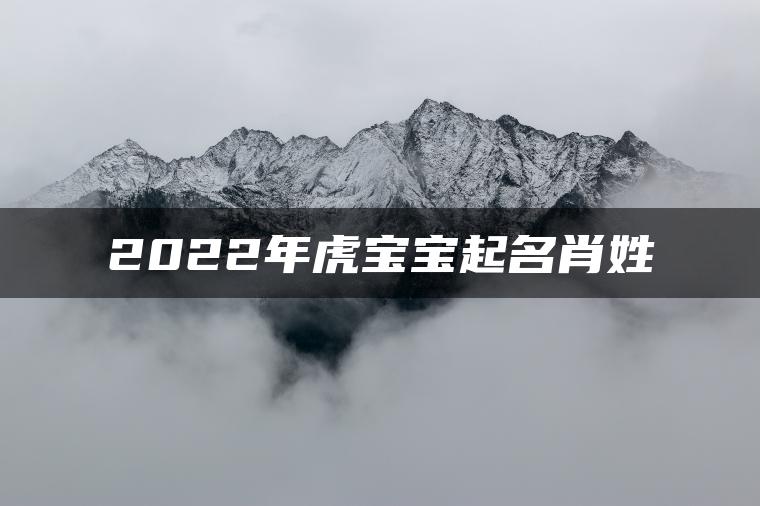 2022年虎宝宝起名肖姓