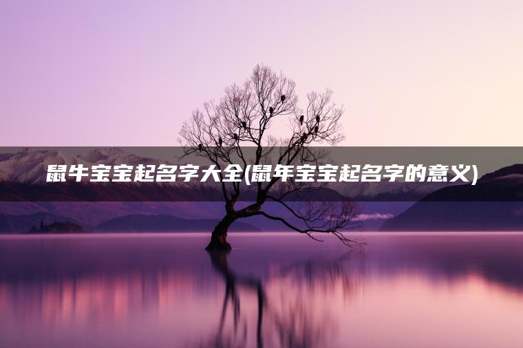 鼠牛宝宝起名字大全(鼠年宝宝起名字的意义)