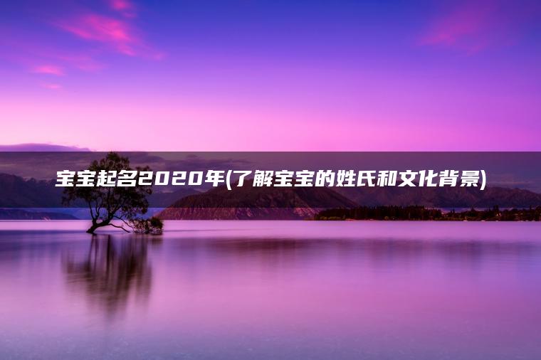 宝宝起名2020年(了解宝宝的姓氏和文化背景)