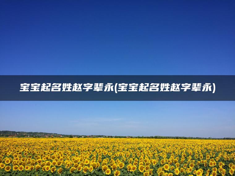 宝宝起名姓赵字辈永(宝宝起名姓赵字辈永)