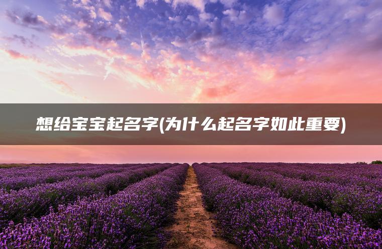 想给宝宝起名字(为什么起名字如此重要)