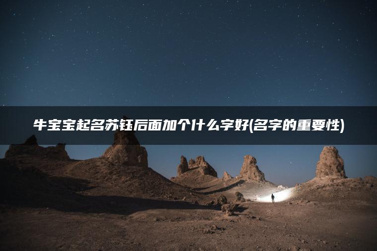 牛宝宝起名苏钰后面加个什么字好(名字的重要性)